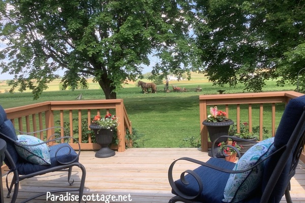 Enceinte de l’hébergement