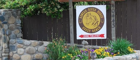 外观细节
