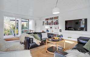 Fernseher, Kamin