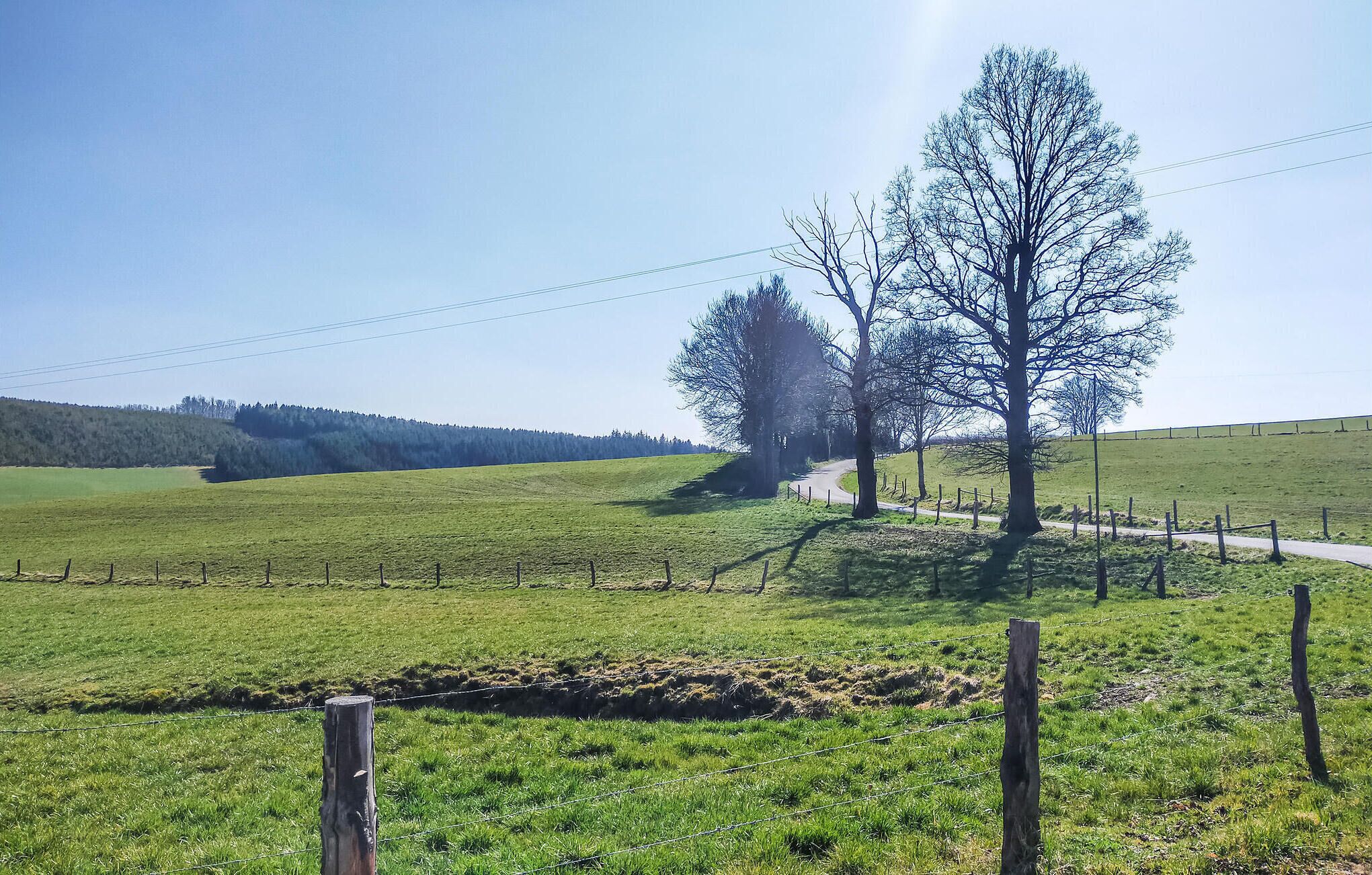 Un paysage rural avec un ciel dégagé, une route sinueuse et un grand arbre au premier plan.
