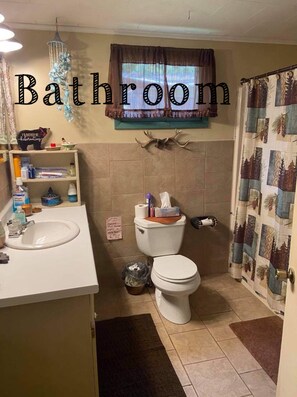 Combined shower/tub, hair dryer, soap, toilet paper