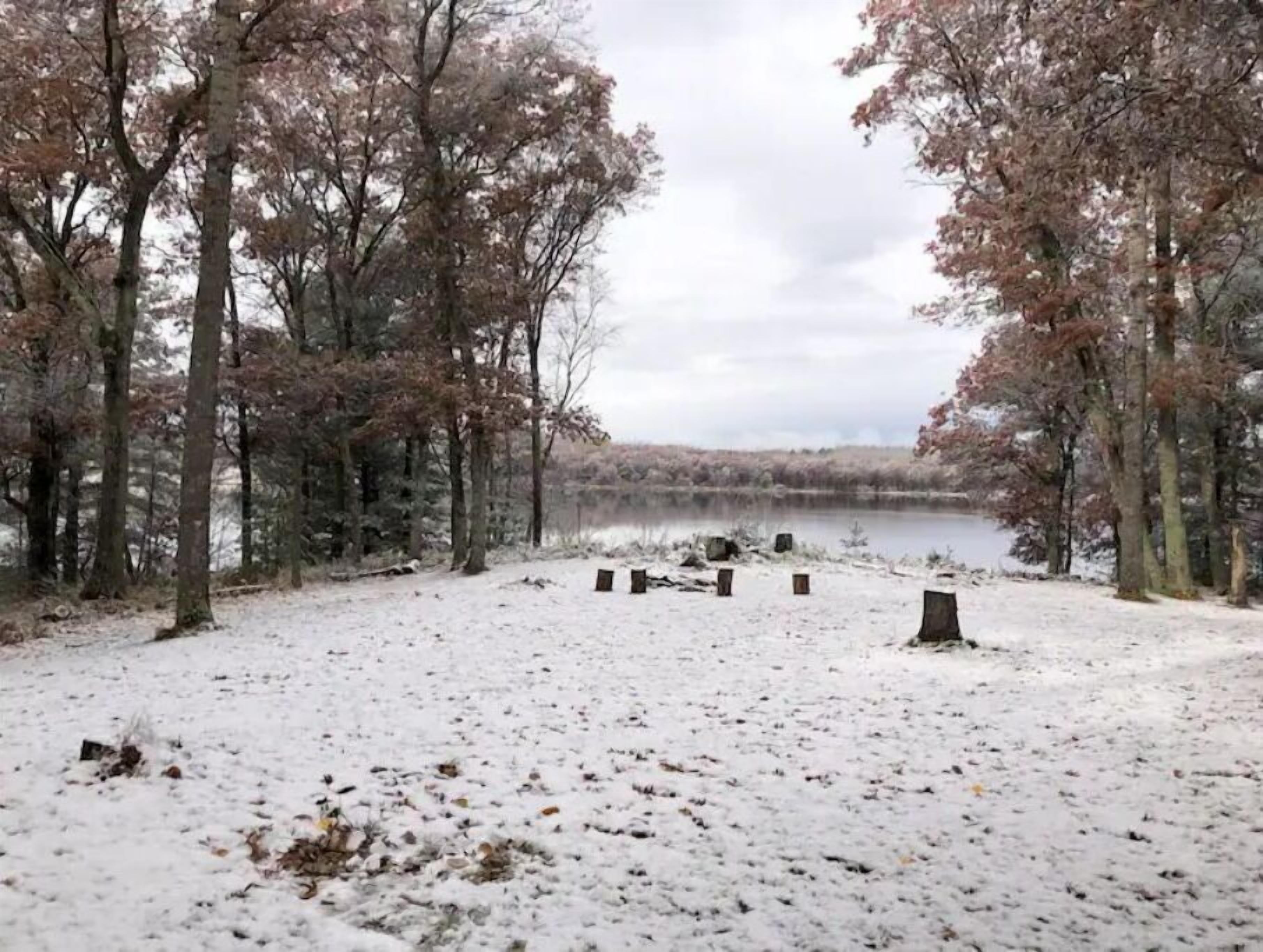 Un paisaje nevado con un lago, rodeado de árboles con follaje rosado.