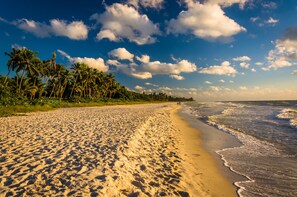 A beach with a sandy shore, palm trees, and the ocean. - Amazing Sunsets, 3 minutes from the beach (Naples)