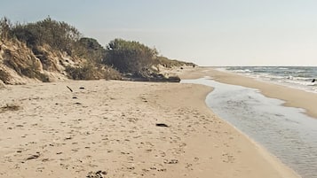 Beach nearby, fishing