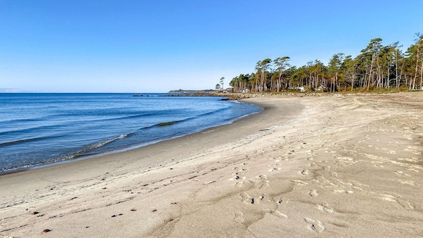 A sandy beach with footprints, a clear blue sky, and a line of trees in the background. - Beautiful home in Löderup with kitchen (Löderup)