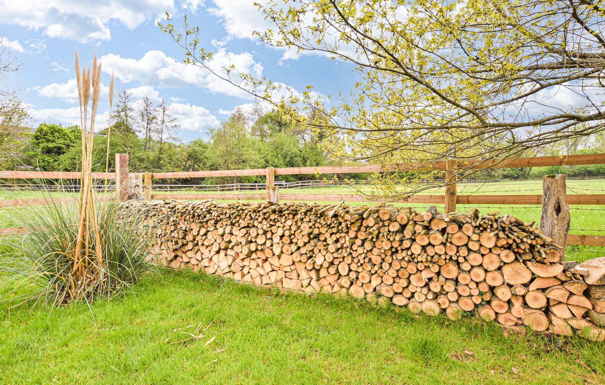 Une pile de bois de chauffage est appuyée contre une clôture en bois, dans un espace verdoyant parsemé d’arbres, sous un ciel dégagé.