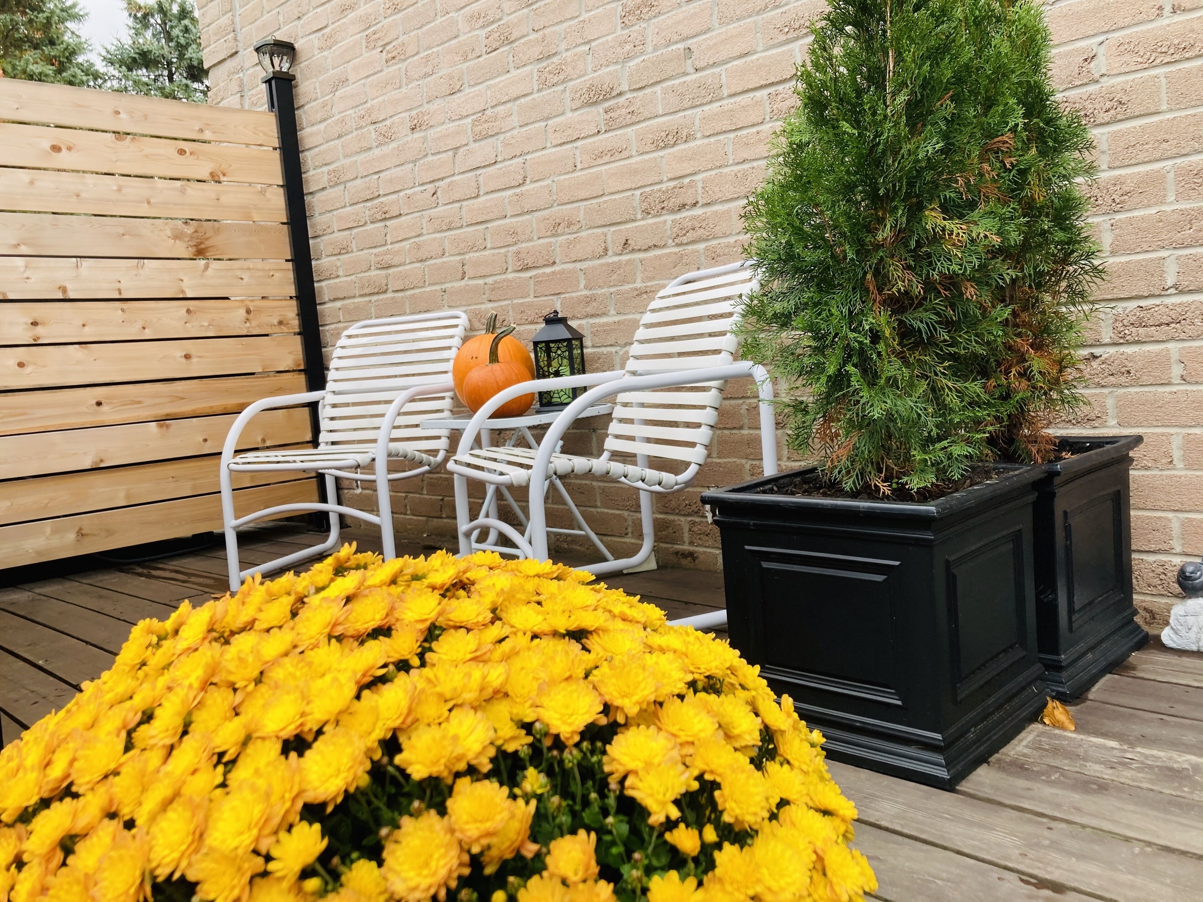 Terrace/patio