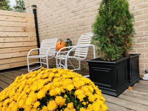 Terrace/patio - Stylish Main Level Suite with Separate Entrance, Private Patio and 2 Car Parking (Aurora)