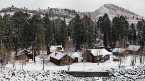 A cluster of wooden cabins surrounded by snow-covered trees and a mountain in the background.