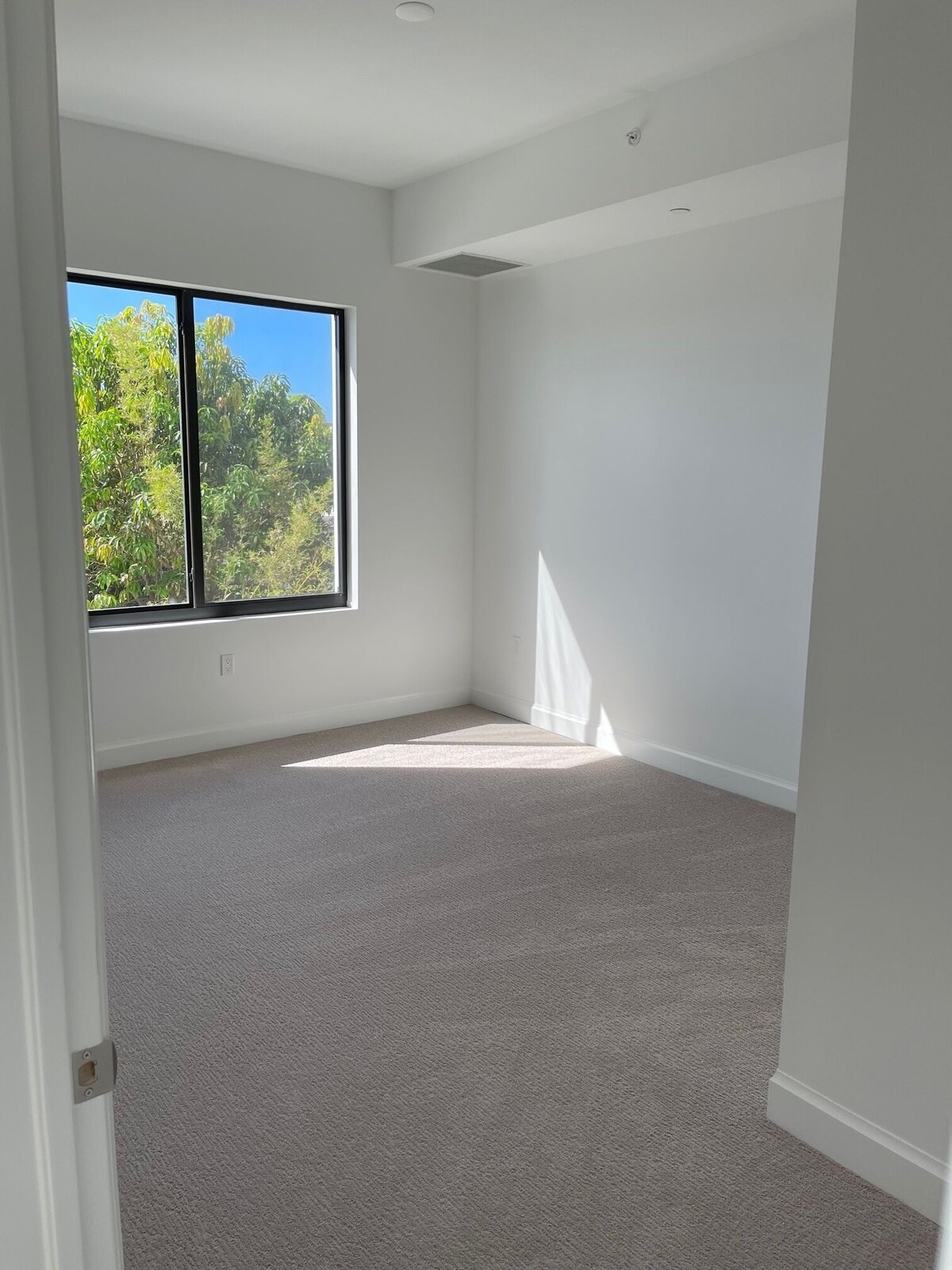 Photo 10 of Brand New! Ultra Luxury