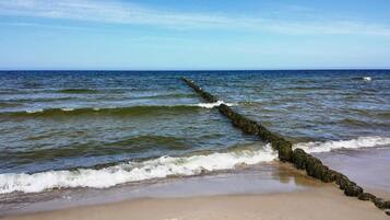 A sandy beach with a long, weathered rope extending into the ocean.