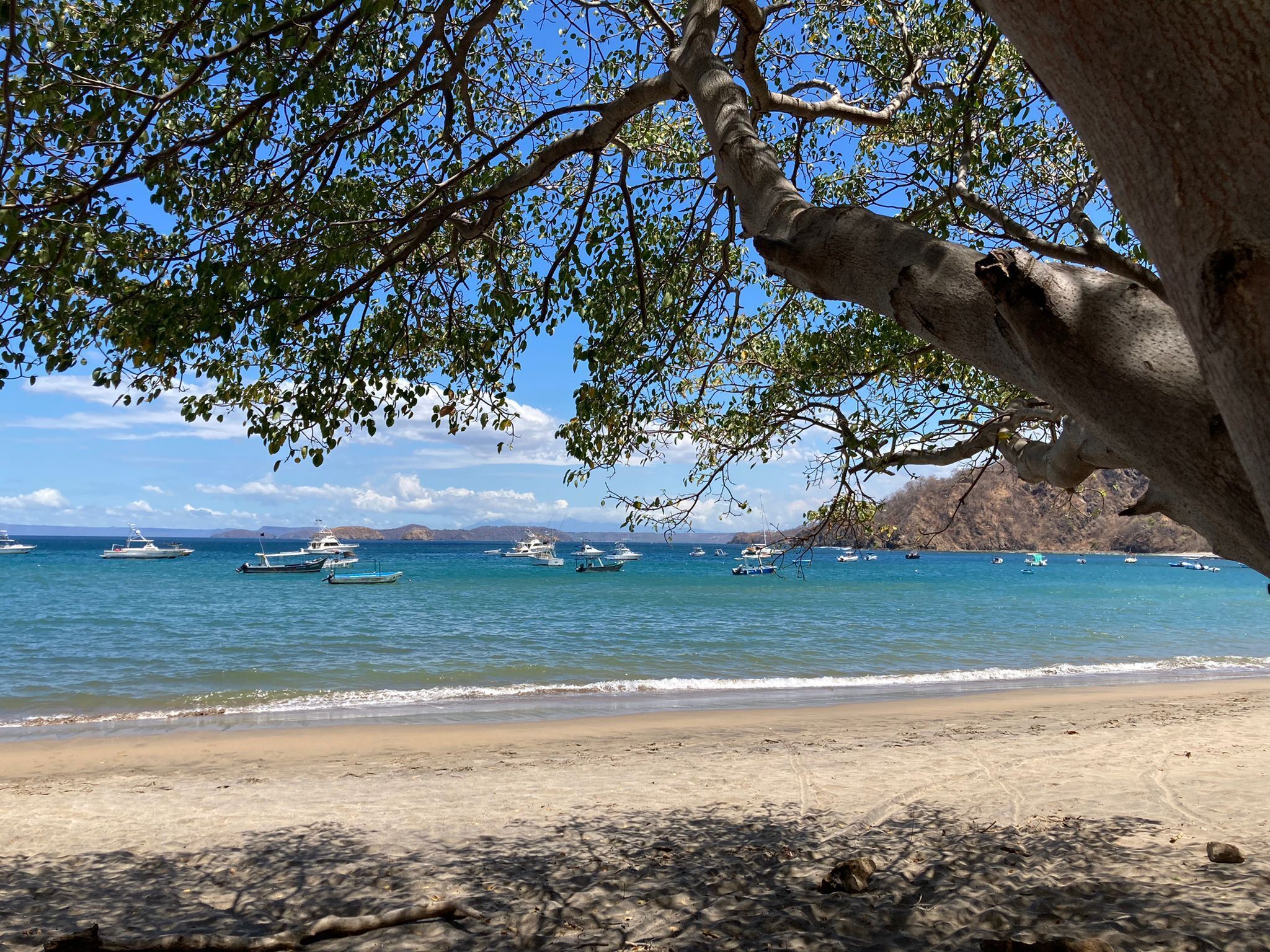 Playa