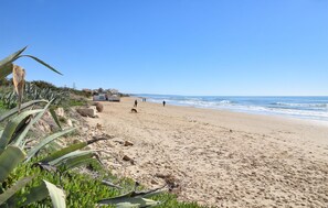 Beach nearby, fishing