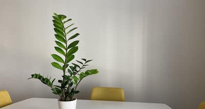 Stunning DT Minimalist Villa in the Heart of Jax