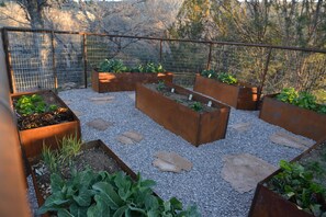 Terrain de l’hébergement 