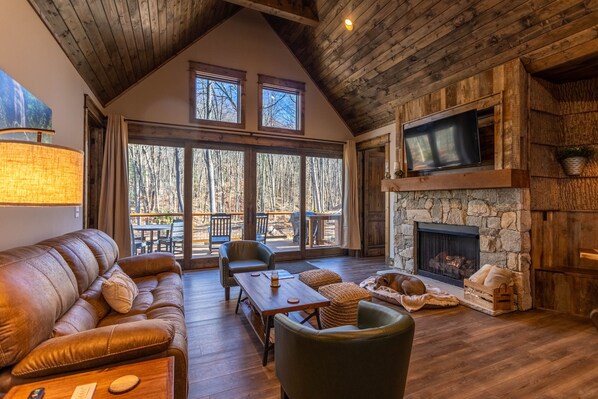 Téléviseur, foyer, livres