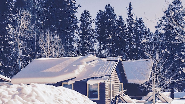 Une cabane en rondins entourée d’arbres couverts de neige.