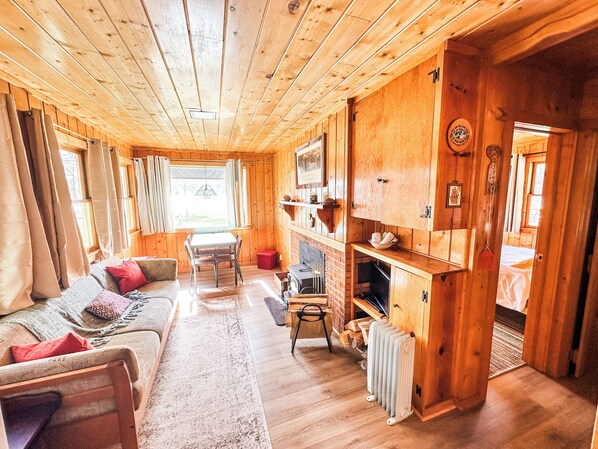 Smart TV, fireplace, DVD player, video library
