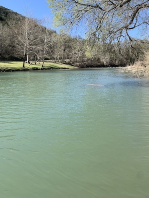 Beach - Riverfront property located directly on the Guadalupe River (New Braunfels)