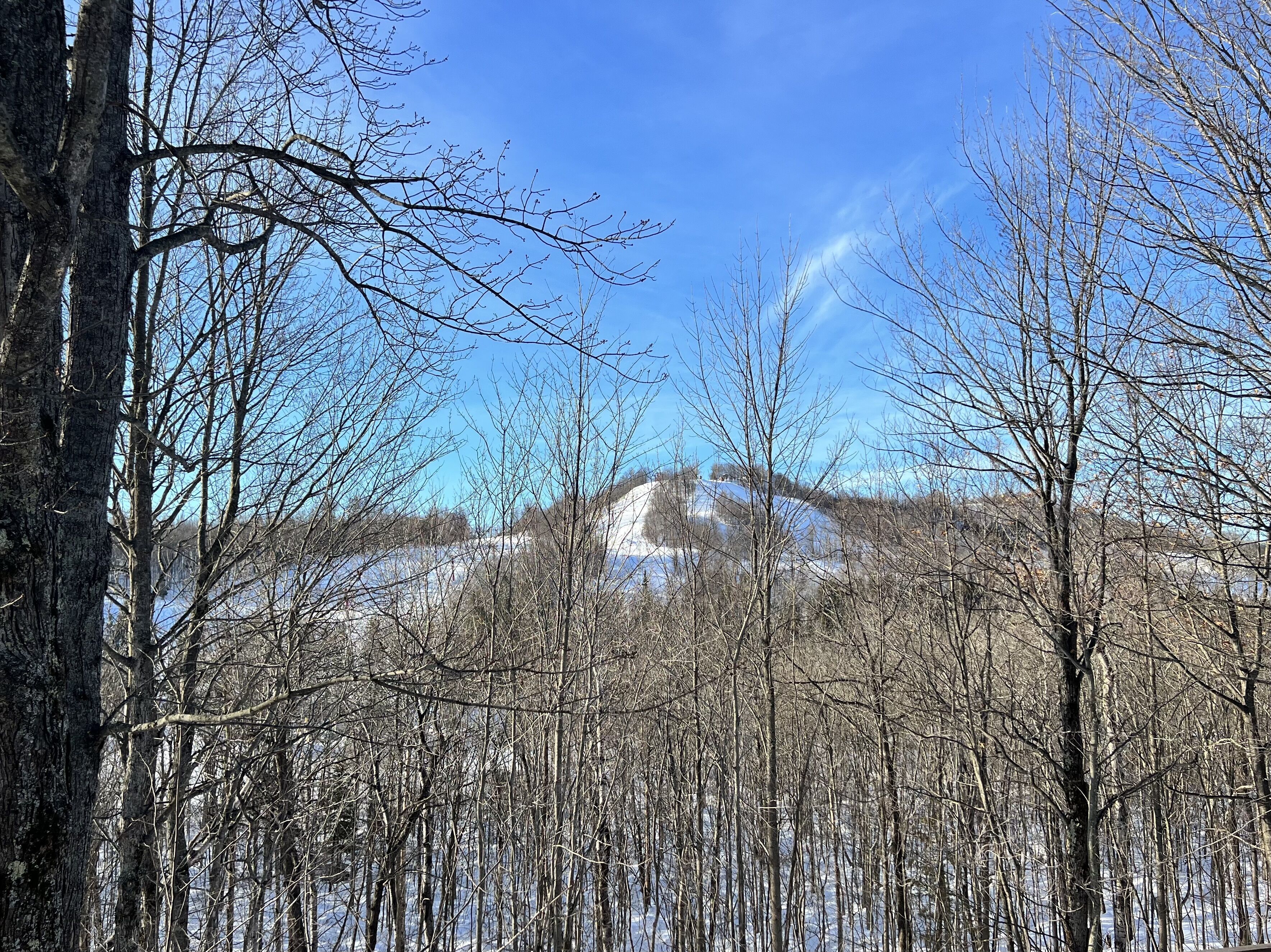 Spacious northwoods getaway in the Powderhorn Mountain village minutes ski hills