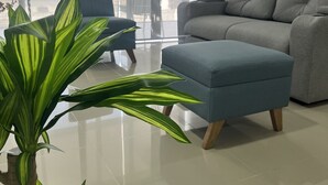 Un salon moderne avec un canapé gris, un fauteuil bleu et une grande plante verte.