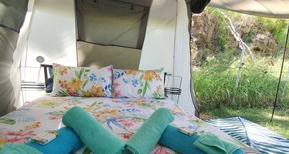 Meyenburg Luxury Tent with shared bathroom/kitchen/lounge