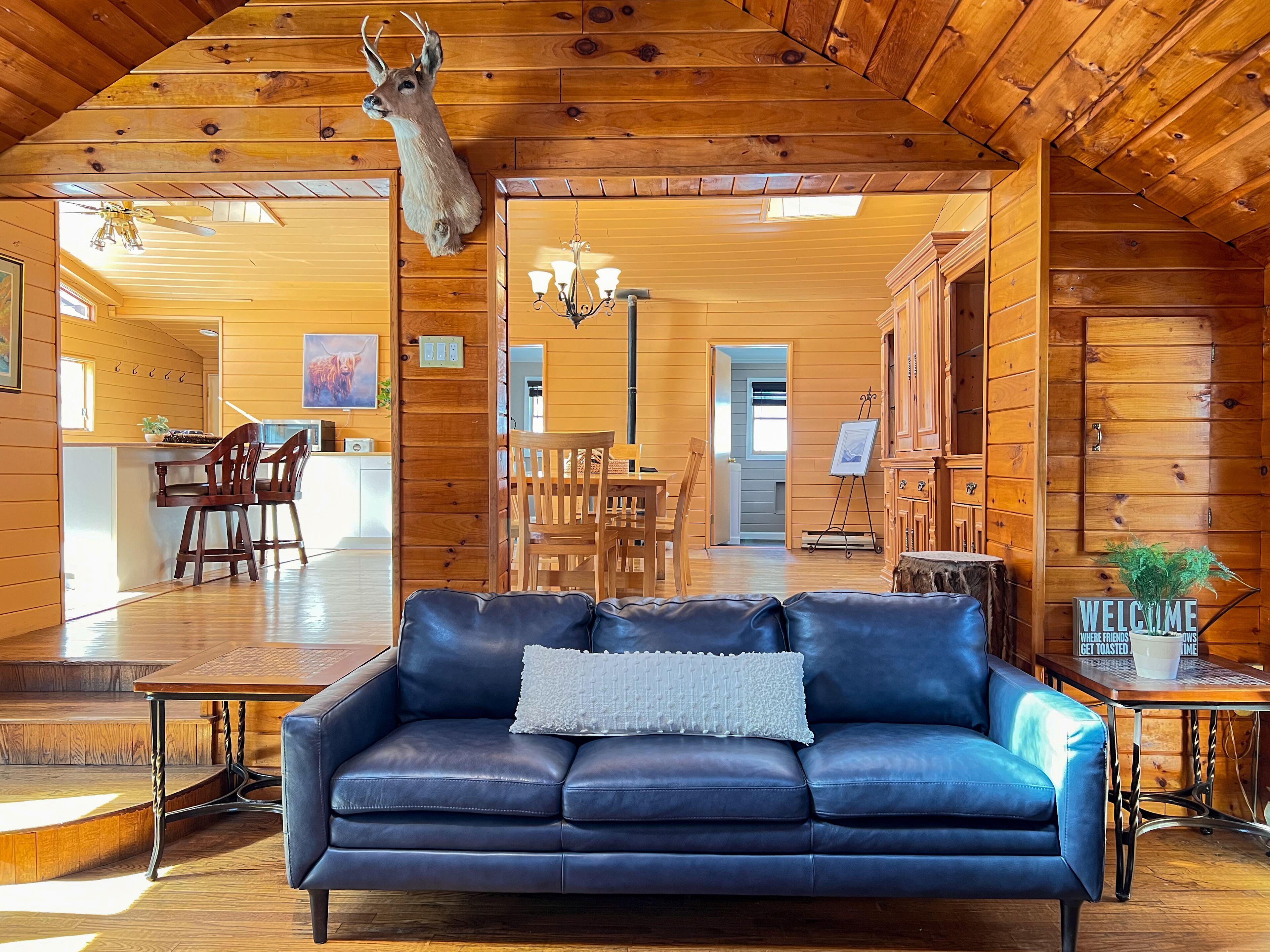 Close to Phoenicia, Woodstock Brewery, Belleayre, Mountain View, Backyard Stream