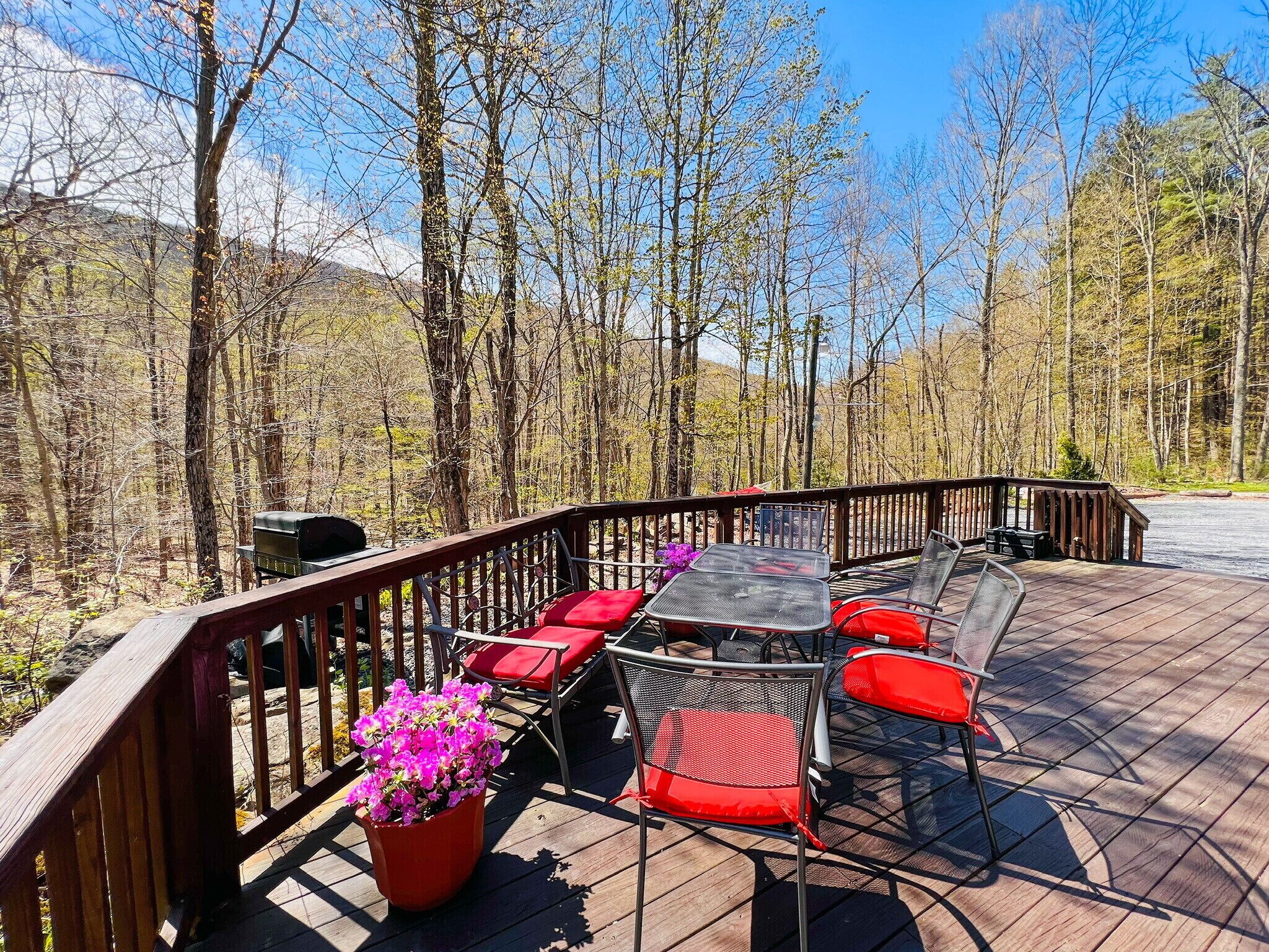 Close to Phoenicia, Woodstock Brewery, Belleayre, Mountain View, Backyard Stream