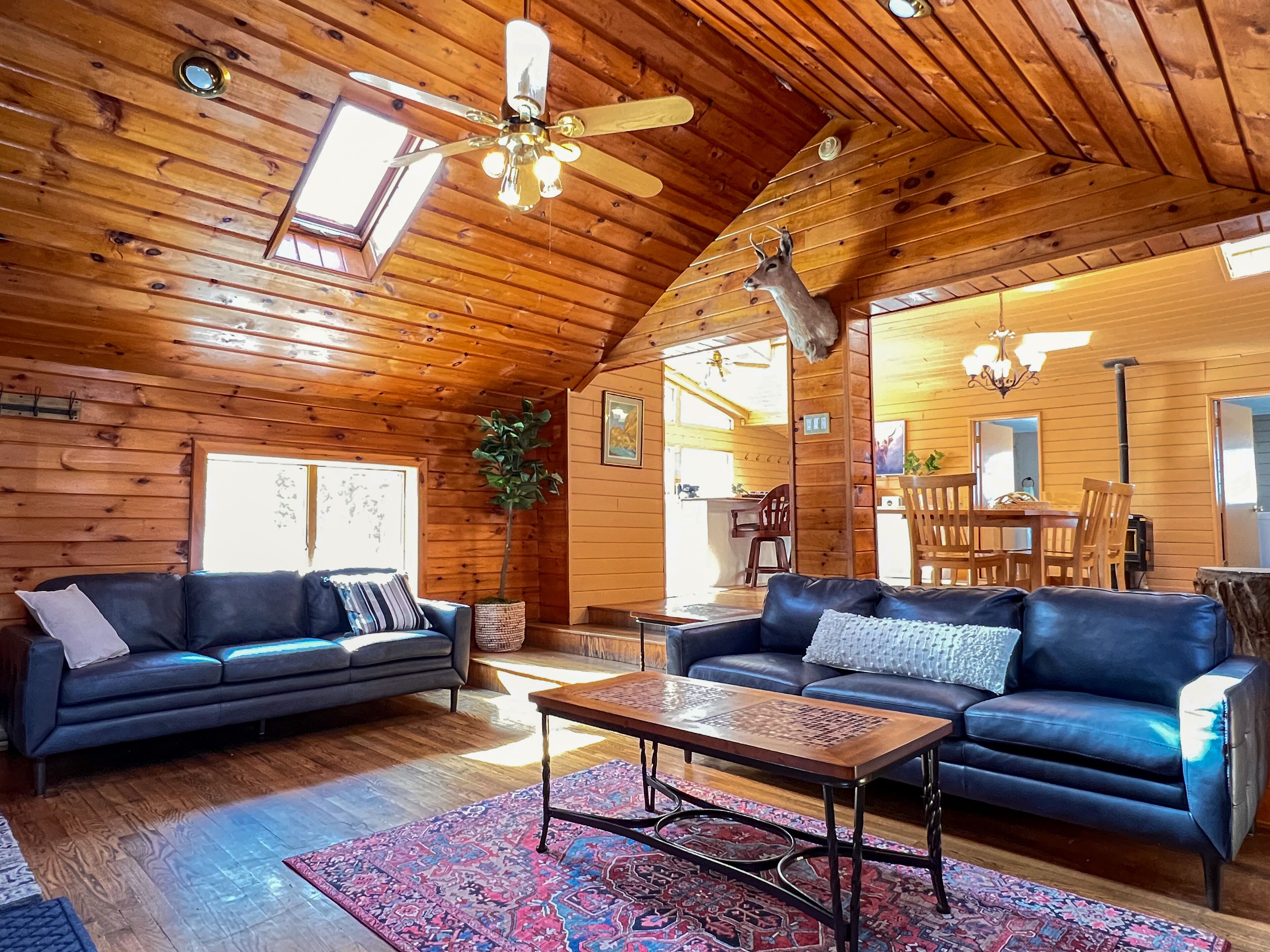 Close to Phoenicia, Woodstock Brewery, Belleayre, Mountain View, Backyard Stream