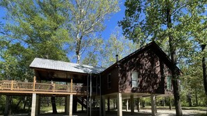 A rustic cabin with a covered porch and a large tree in front. - Peaceful Cabin Overlooking the Bogue Chitto River (franklinton)