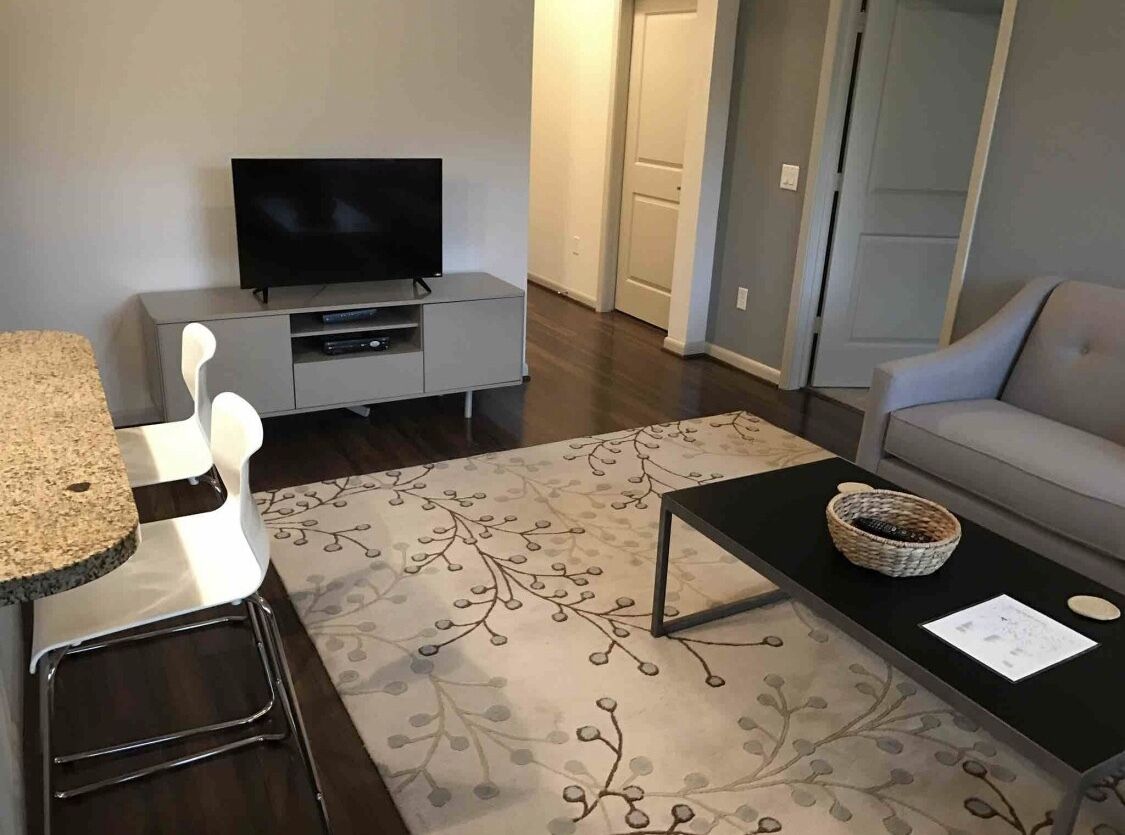 1 BDR/ 1 BTH APARTMENT - CITY PLACE MONTROSE (#3206)