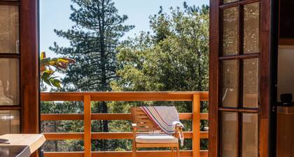 Secluded 1 acre Mountain Home - Hot Tub, 3 Decks & Direct National Forest Access