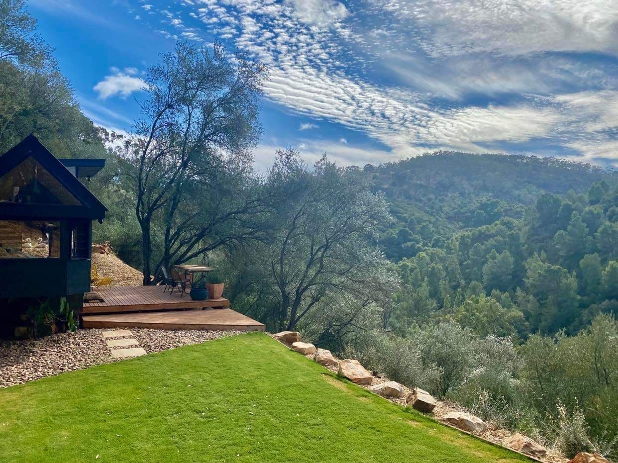 Bird - the Tiny House in the trees