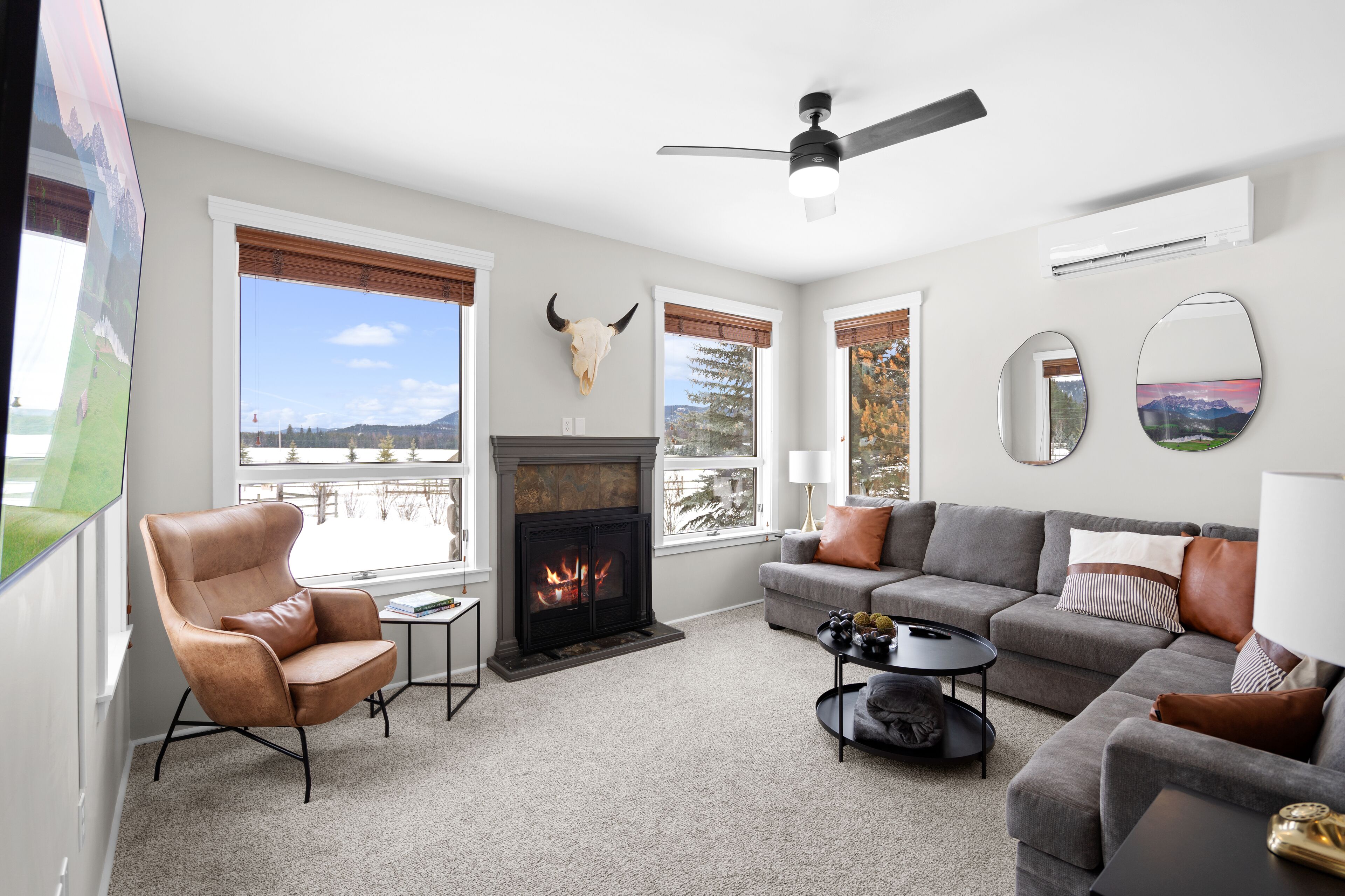 Älytelevisio, takka, videopelejä, kirjoja