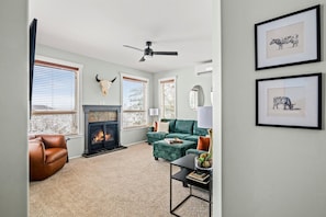 Smart TV, fireplace, video games, books