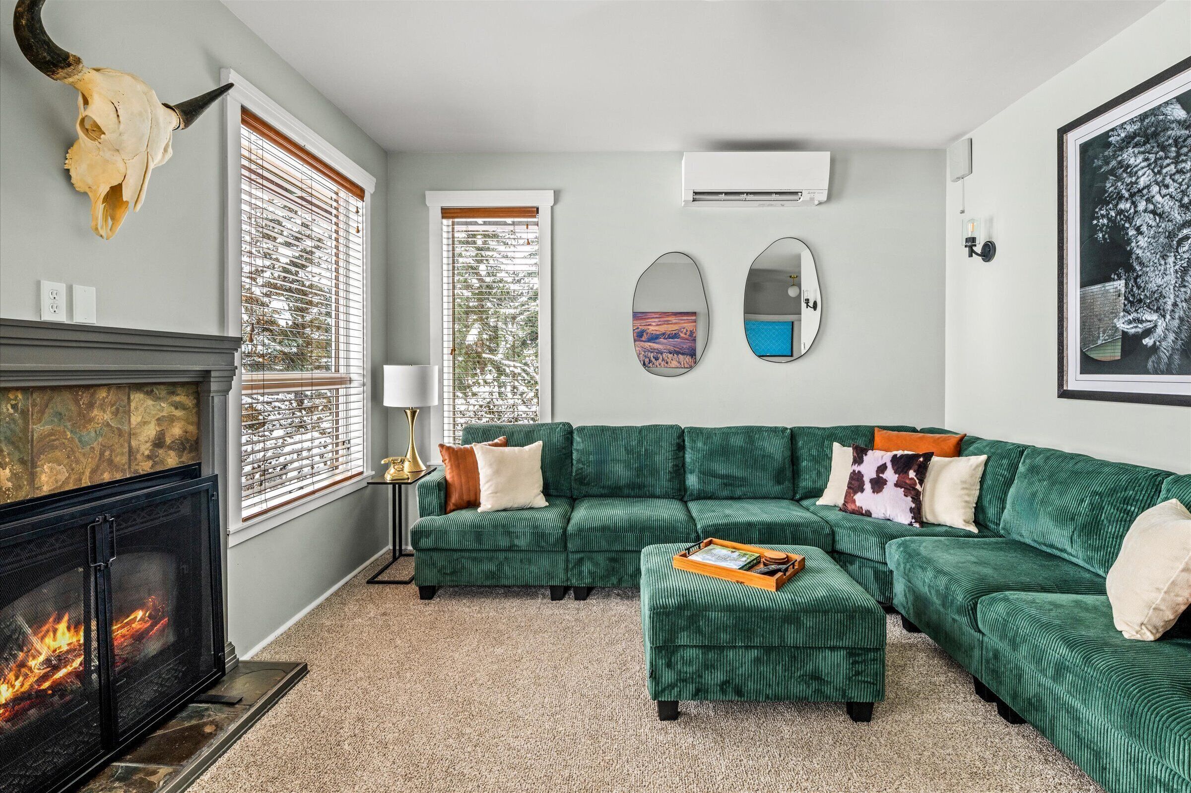 Smart TV, fireplace, video games, books