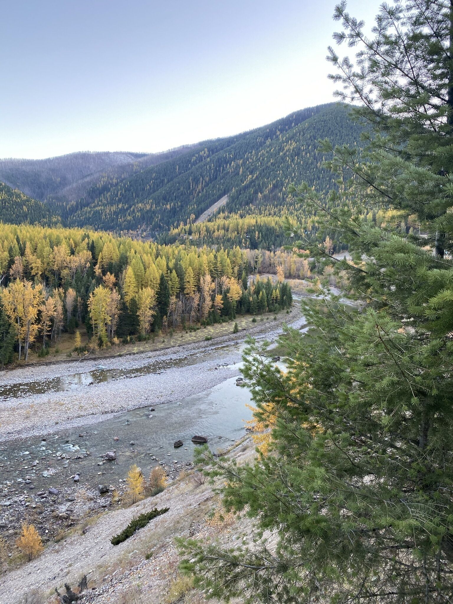 Une rivière qui traverse une vallée boisée, avec une montagne en arrière-plan.