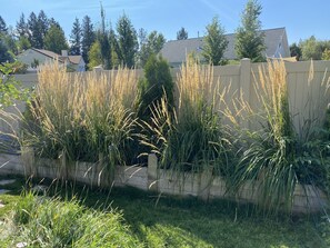 Overnattingsstedets uteområder