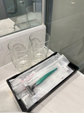 Shower, hair dryer, slippers, bidet