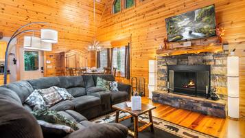 TV connectée, cheminée, jeux vidéo, livres