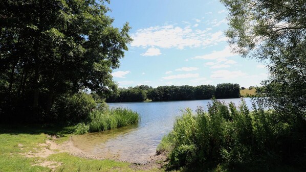 A serene lakeside view with dense greenery and a clear sky.