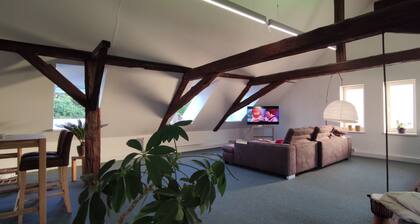 Large loft apartment, private entrance, e-charging station and free parking space