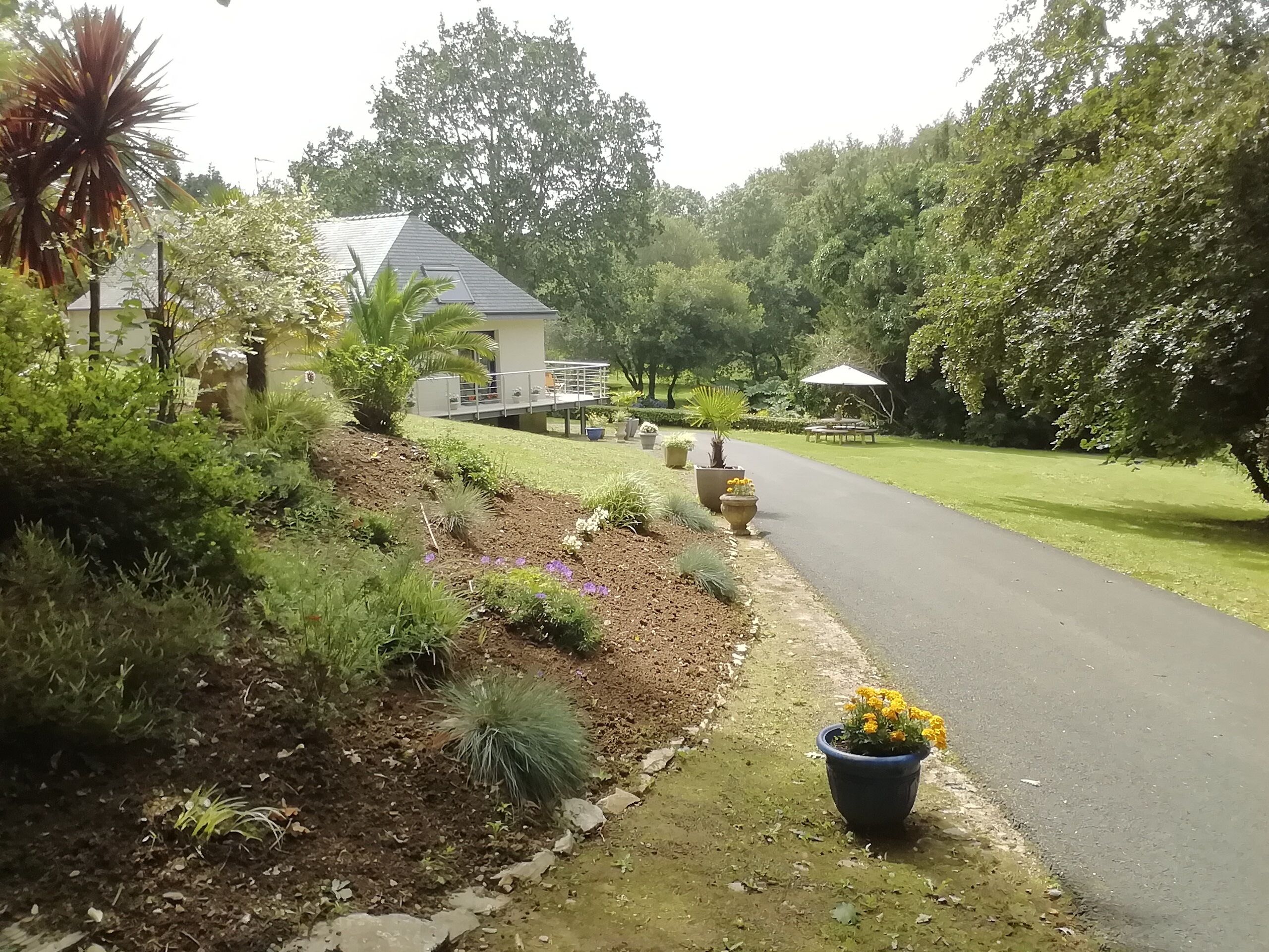 A residential area with a paved driveway, a house with a sloped roof, and a garden with various plants and flowers.