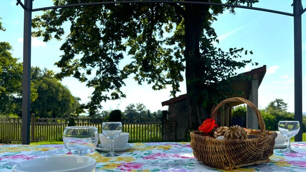 Une table dressée à l’extérieur, recouverte d’une nappe à motifs floraux, avec un panier en osier contenant une fleur rouge, ainsi que des tasses et des soucoupes blanches.
