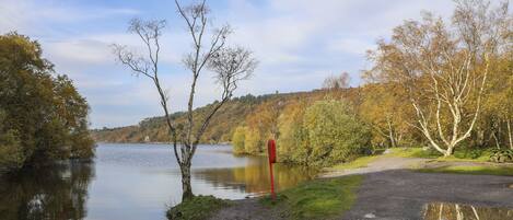 Een rustig pad aan de oever van een meer, met een rood bord, omringd door bomen in herfstkleuren en een kalm meer.