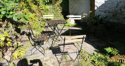 Relaxing pet Friendly 2-bed Cottage in Rhandirmwyn