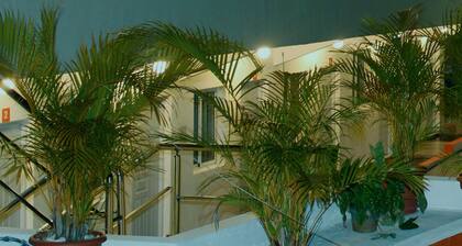 Quiet Room at Hotel Paraiso Plc