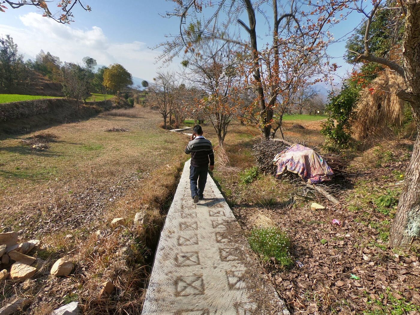 A pathway with a patterned surface, flanked by trees and a stone wall on one side and a grassy area on the other.