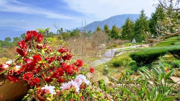 Casa exclusiva | Jardín