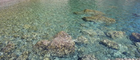 Appartement, 1 chambre, fumeurs, terrasse | Plage